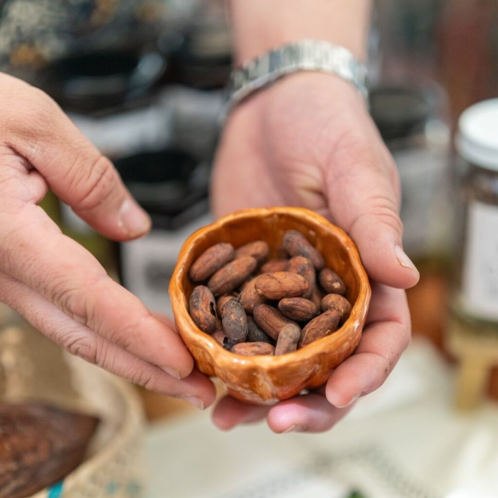 Cacao artesanal